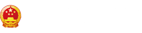 大鸡巴插逼黄色视频"